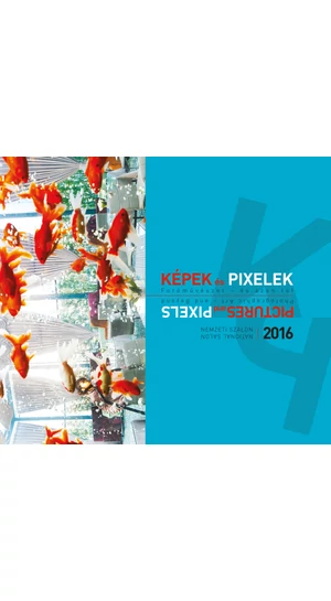 Képek és pixelek. Fotóművészet – és azon túl. Nemzeti Szalon 2016