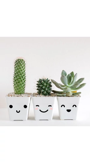 JUSTa Tiny Faces matrica