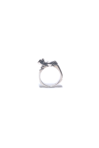Bajcsi-Nagy Balázs: Macska gyűrű