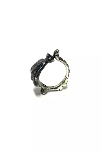 Bajcsi-Nagy Balázs: Gyűrűsfarkú maki gyűrű