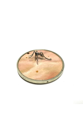 Bajcsi-Nagy Balázs - Szenteleki Gábor: Life Sucks kitűző