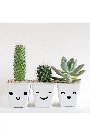 JUSTa Tiny Faces matrica